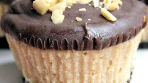 buckeye cheesecake closeup