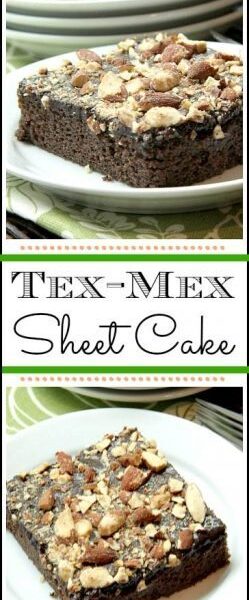 Tex-Mex Sheet Cake recipe - easy moist chocolate Texas Sheet Cake from scratch! SnappyGourmet.com