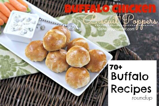 Best Buffalo Recipes Roundup | SnappyGourmet.com