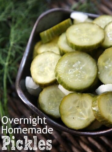 Overnight Homemade Pickles Recipe | SnappyGourmet.com