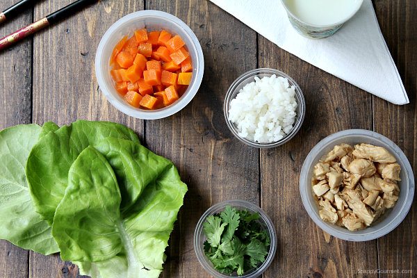 Easy Chicken Lettuce Wraps - quick healthy dinner recipe with an easy teriyaki sauce | SnappyGourmet.com